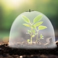 thumbnail image 4 of 6Pcs Clear Garden Dome Plant Covers for Frost Guard and Freeze Protection Breathable Design, 4 of 9