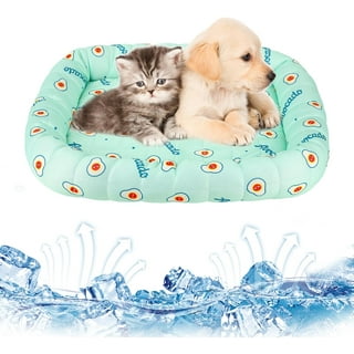 Dog Cooling Mat Walmart Canada