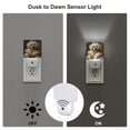thumbnail image 3 of Honeii Regal Dog In Royal Attire Print LED Night Light with Light Sensor, Night Lights Plug Into Wall,Ideal for Bedrooms and Hallways-EU, 3 of 7