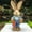 B005- Style F, variant on Easter Bunny decorations, Artificial Grass, 14 in, Easter decorations, Spring decoration, Standing Display, Yellow Plaid, Outdoor Accent, 1 Pc (169 Chars)
