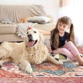 thumbnail image 4 of Area Rugs for Living Room Bedroom, Yamaziot 5'x7' Washable Rug Vintage Boho Throw Rug, Non-Slip Faux Wool Medallion Distressed Floor Mat Carpet with Rubber Backing, Pink, 4 of 10