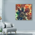 thumbnail image 3 of Trademark Fine Art 'Floragraph V' Canvas Art by James Burghardt, 3 of 4