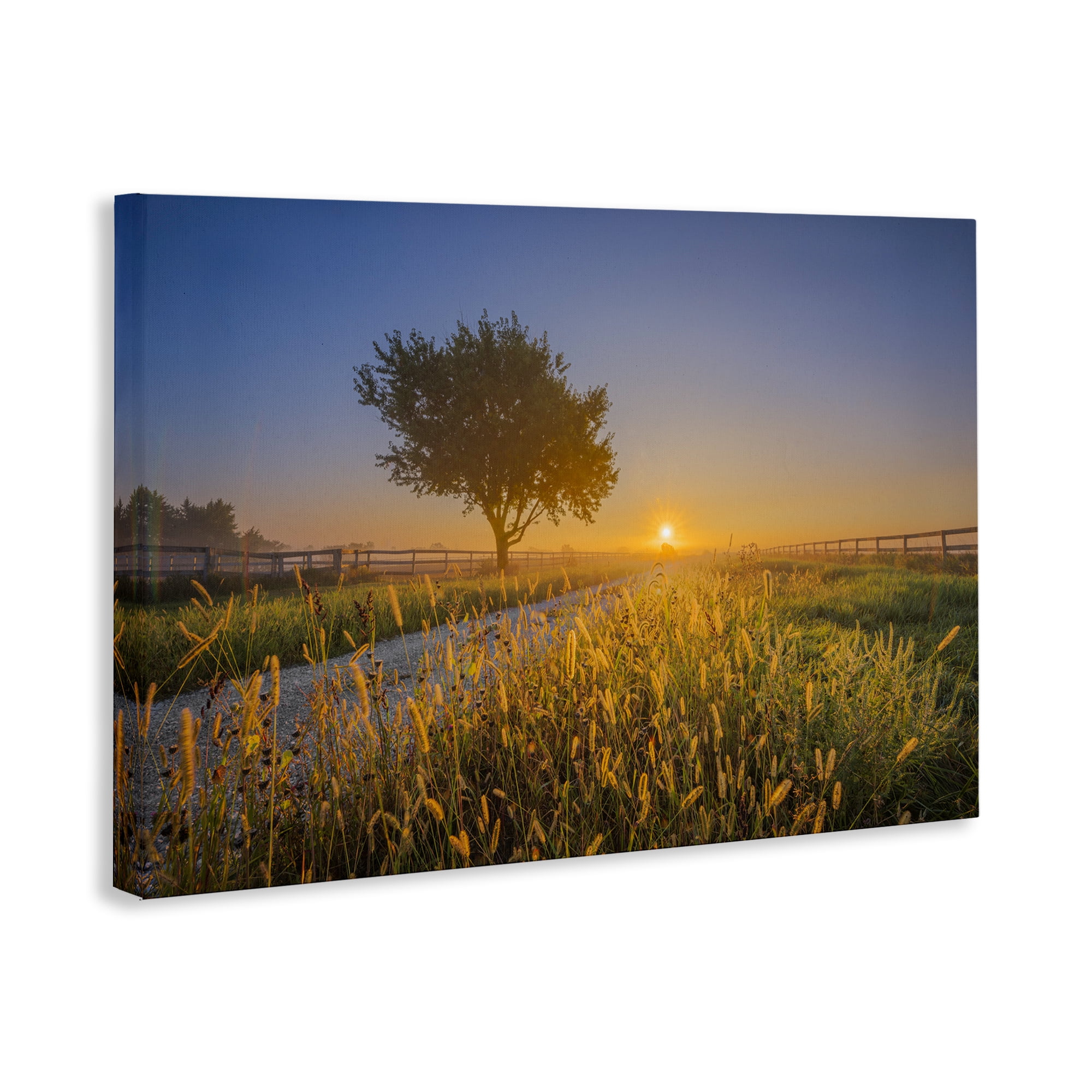 Stupell Industries Rising Sun Horizon Landscape & Nature Photography Wrapped Canvas Art Print Wall Art, 45 x 30