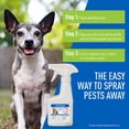 thumbnail image 4 of Spray Adams Plus Flea & Tick con Precor para perros y gatos, 240 ml, 4 of 9