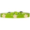 thumbnail image 6 of Dog, Puppy  Pet Designer Croc Widget Collar, "Gold Flowers", 6 of 10