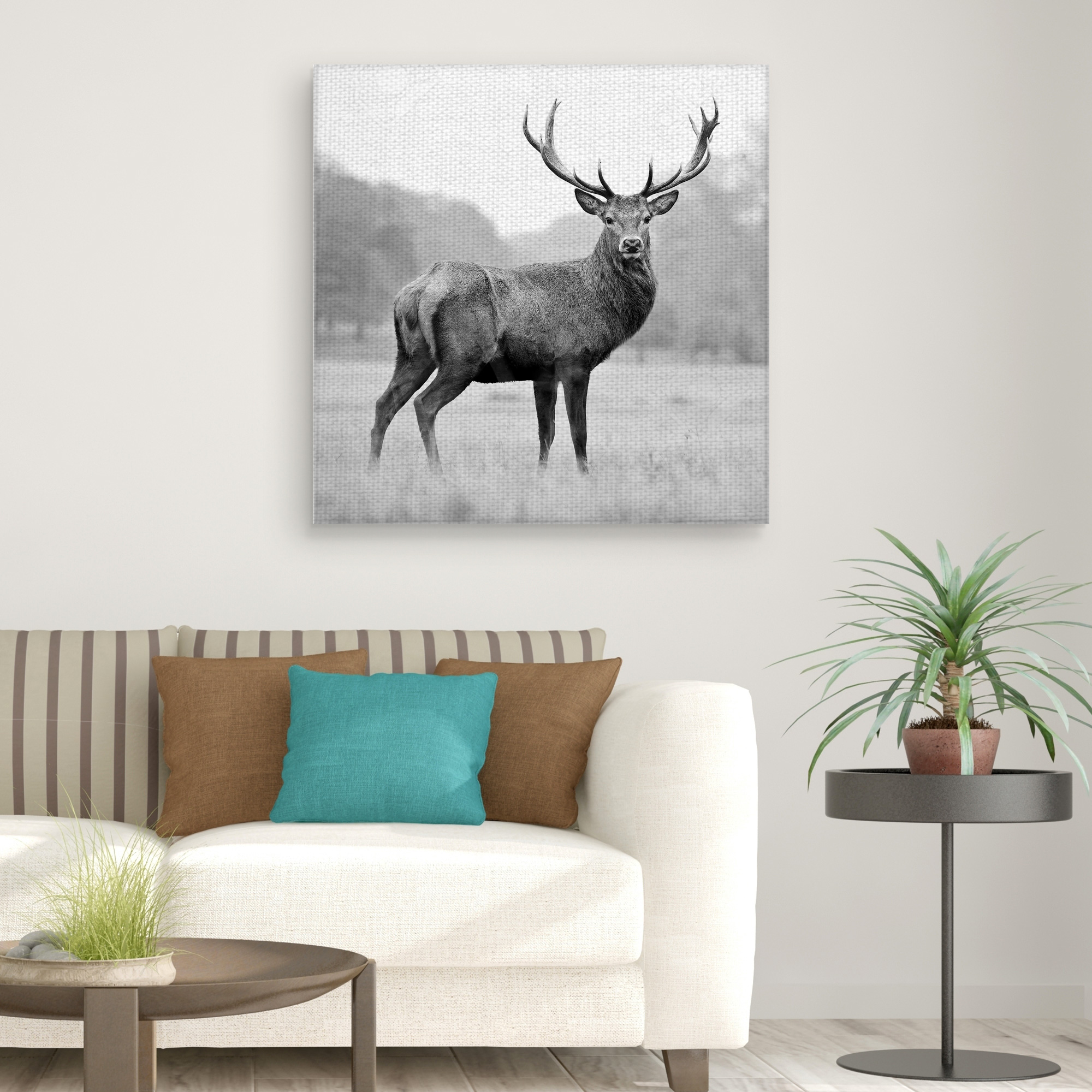 Masterpiece Art Gallery Proud Deer By PhotoINC Studio Canvas Art Print 30" x 30"