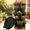 Black, variant on Gamexcel Vertical Garden Planter 5 Tier Gray Plastic Stackable Tower Planter with Saucer for Strawberry,Herb