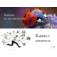 thumbnail image 4 of Cuadro Decorativo Moderno Canvas Leon Con Frase Motivadora, 4 of 5