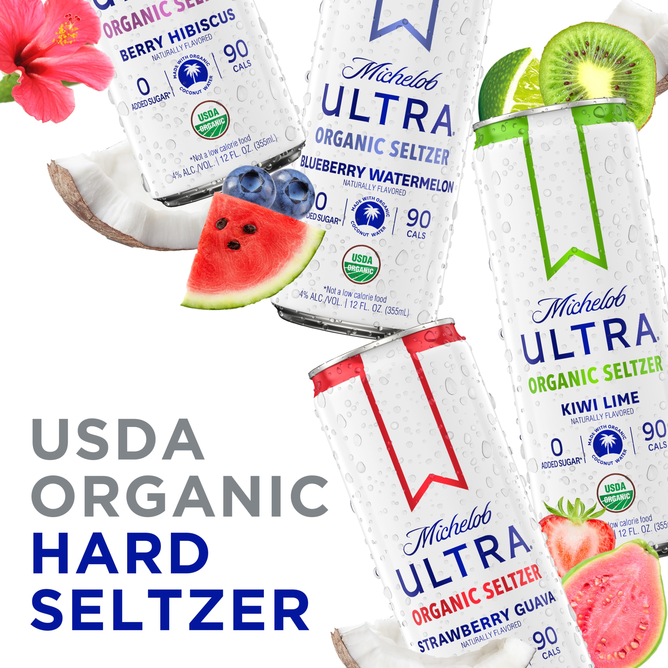 Buy Michelob ULTRA Organic Hard Seltzer Coconut Water Variety Pack, 12
