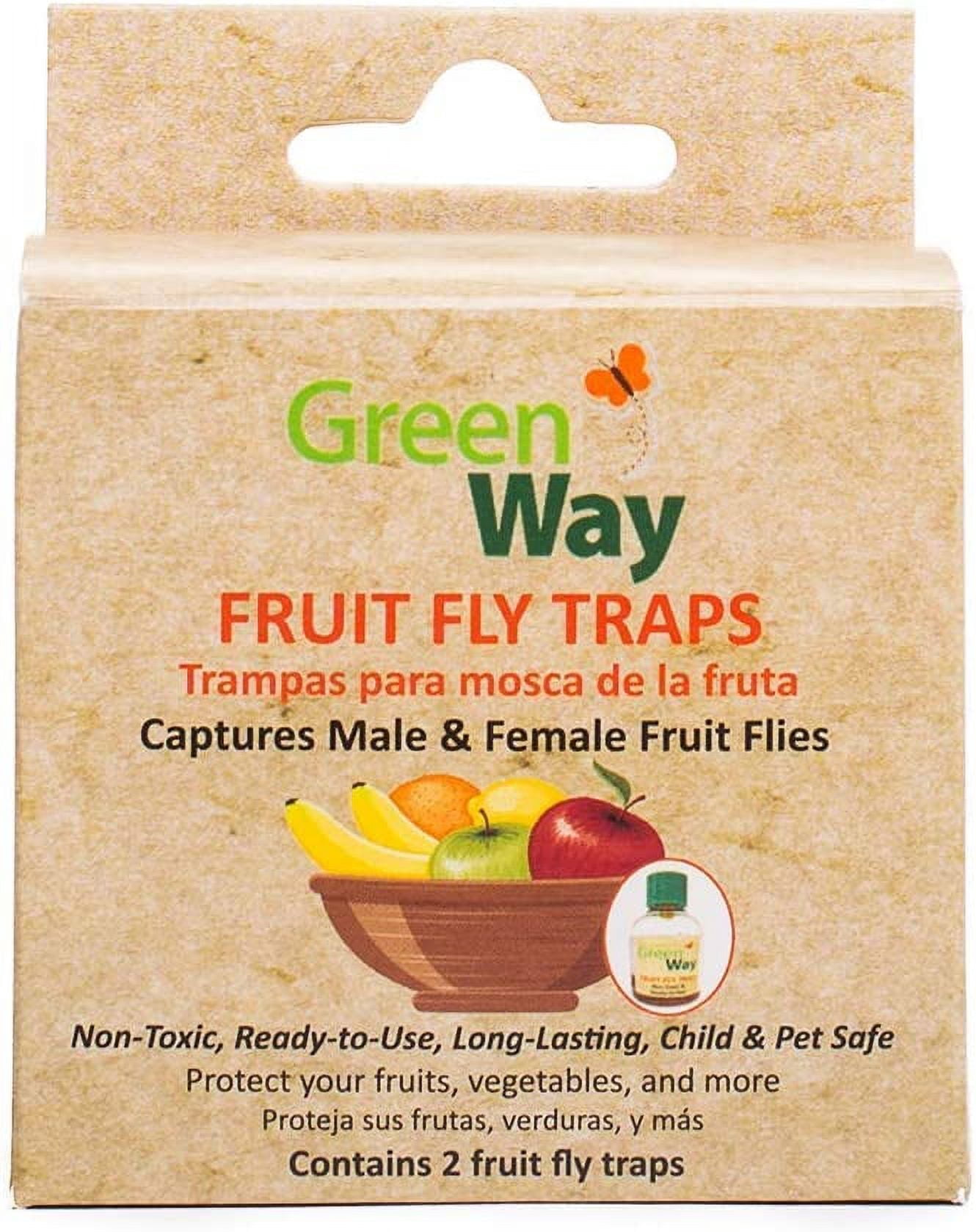 GreenWay Traps GW104 Fruit Fly Trap