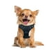 thumbnail image 1 of Pechera Arnés E-Pets Color Negro Talla Extra Chica Ajustable Antitirones, 1 of 4