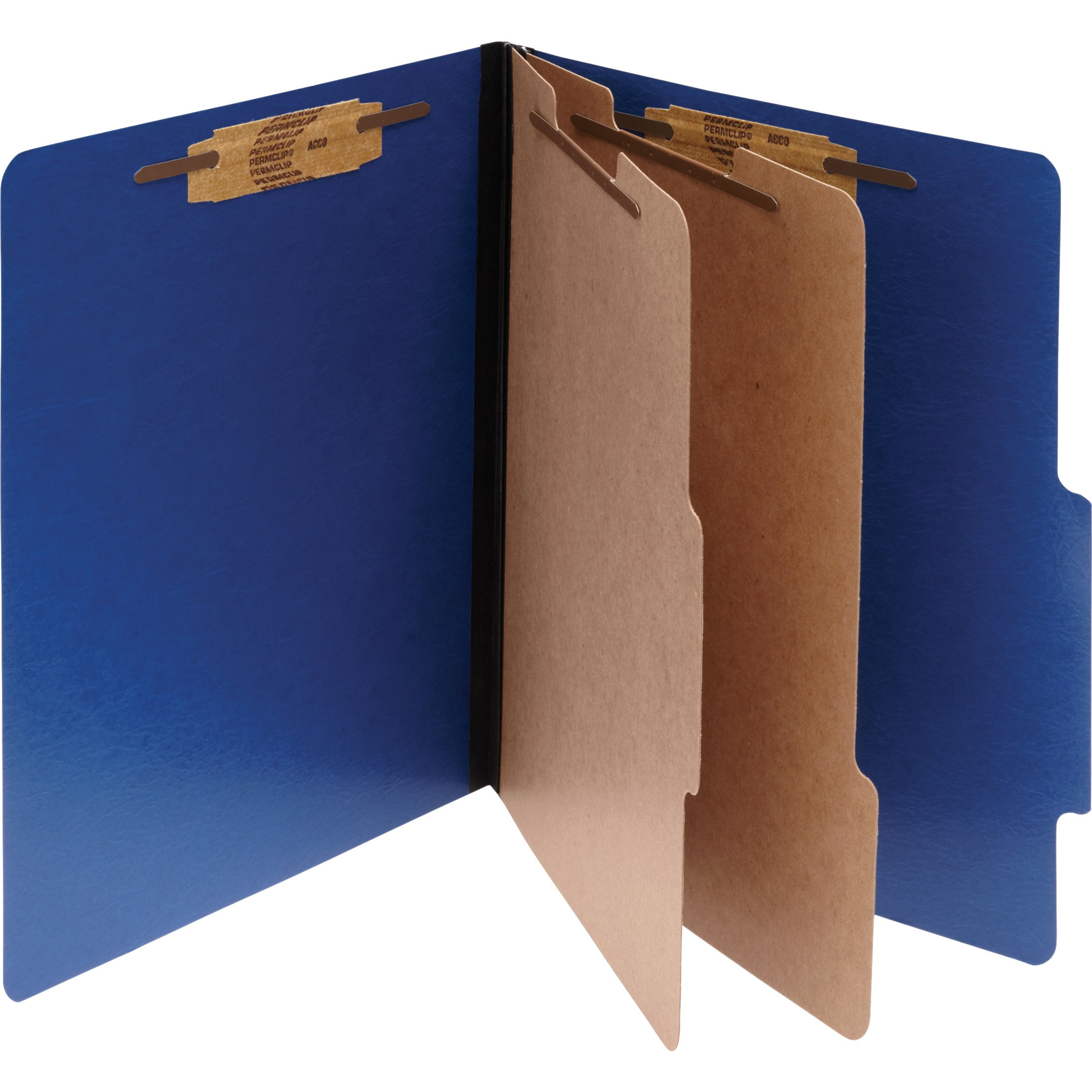 Box of 10 Blue Letter Pendaflex 920025RCP2 Four- and Six-Section Classification Folders 2/5 Tab 
