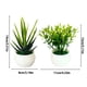 thumbnail image 3 of Juego de 2 plantas en maceta Mini plantas Pequeñas plantas artificiales decorativas con maceta de plástico blanco para el hogar, 3 of 7