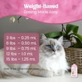 thumbnail image 6 of Dewormer for Cats Liquid – Chicken Flavor Cat Dewormer for Cats & Kittens – Oral Formula with Syringe – Tapeworm Care Support – 2 oz (60 ml), 6 of 7