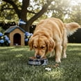 thumbnail image 4 of Plato para mascota NFL Las Vegas Raiders 100% oficial, 4 of 7