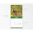thumbnail image 4 of 2023-12 Month Calendar- Buck Commander 12x12 Hanging Wall Calendar by DaySpring, 4 of 5