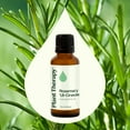 thumbnail image 3 of Plant Therapy Rosemary Essential Oil 100% Pure, Undiluted, Natural Aromatherapy , 30 mL (1 oz), 3 of 8