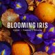 thumbnail image 3 of Panier Des Sens New Blooming Iris Eau De Toilette Perfume ligero para mujeres - Fragancia floral natural - Cabello y cuerpo - Regalo para mujeres Hecho en Francia - Spray corporal de larga duración Ap, 3 of 7