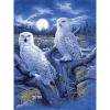 5D DIY diamante pintura búho completo redondo taladro mosaico arte cuadro decoración del hogar Kit Hugtrwg Para estrenar