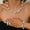 MS302-3, variant on Pearl Bride Wedding Jewelry Set Faux Pearls Crystal Rhinestone Necklace Earrings Bracelet Sets for Women Bridesmaid
