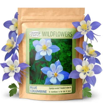 Illinois Wildflower Seed Mix, 16 Flower Varieties, 40,000 Wildflower Seeds  - Created By Nature - Walmart.com
