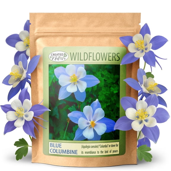 Created By Nature Blue Columbine Flower Seeds, 2,400 Perennial Flower Seeds, Colorado State Flower
