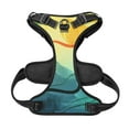 thumbnail image 5 of XMXY No Pull Dog Harness, Hand Painted Abstract Watercolor Adjustable Reflective Pet Harness with Oxford Vest, X-Large Size, 5 of 8