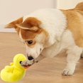thumbnail image 4 of Funix Jouet Interactif à Mâcher pour Chiens et Chats - Encourage le Jeu et les Soins Bucco-Dentaires, Design Robuste, Utilisation Intérieure, Jouet pour Animaux, Jouet à Mâcher, 4 of 6