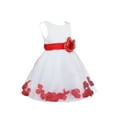 thumbnail image 2 of iEFiEL Infant Baby Girls Satin Bowknot Flower Girl Dress Petals Tulle Wedding Pageant Dress Red 6, 2 of 3