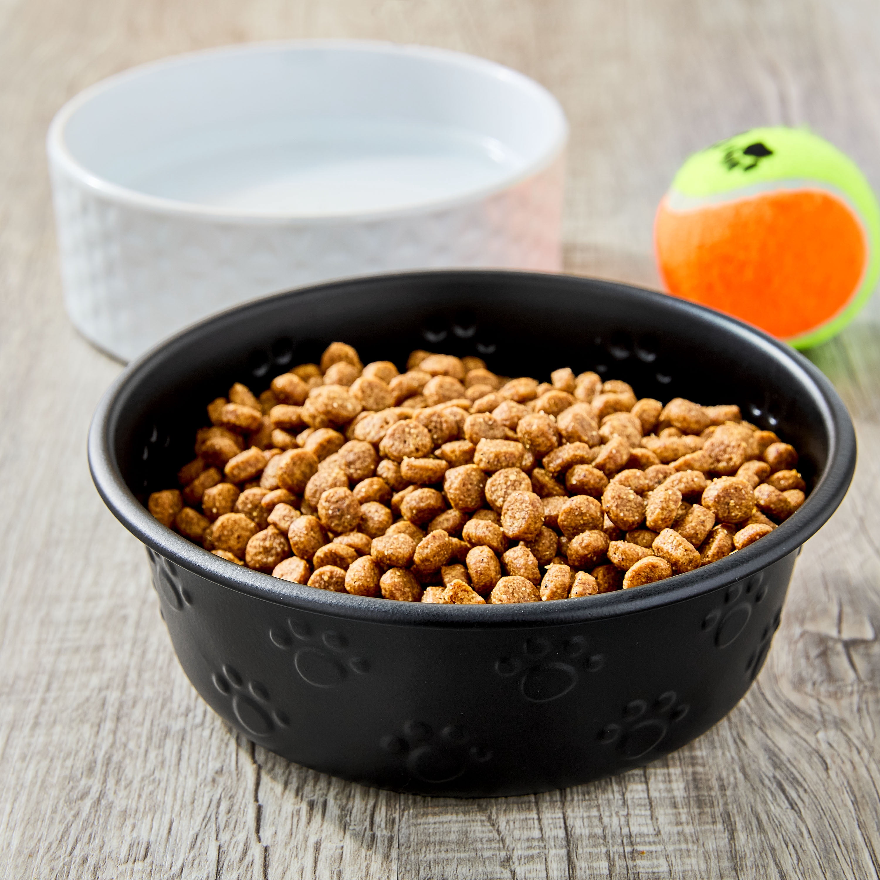Vibrant Life Medium Stainless Steel Embossed Dog Bowl, Black Paws