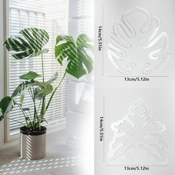 Monstera Grapple, Monstera Plant Grapple, Soporte para plantas de hojas de  Monstera, Juego de abrazaderas de bamb de concha de tortuga, Soporte de  plstico nico y esttico para tallos de plantas Mon |