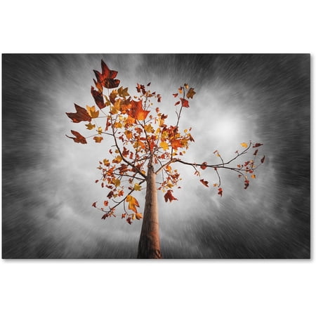 Trademark Fine Art "Autumn Rain" Canvas Art by Philippe Sainte-Laudy