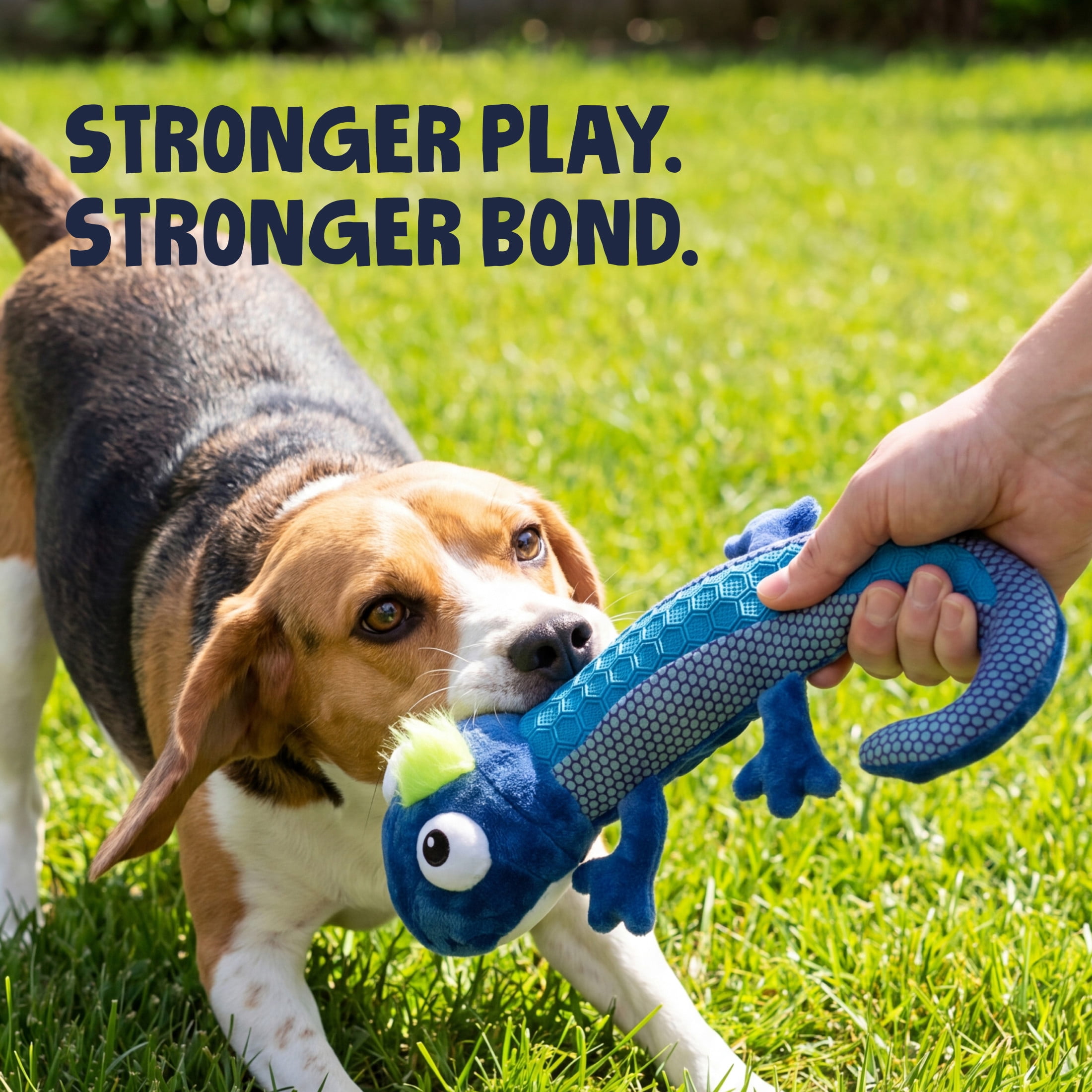 goDog Tough N Texture Carmen Chameleon Squeaky Dog Toy, Plush & Textured Silicone with Chew Guard Technology, Medium