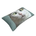 thumbnail image 3 of Bingfone Funny Cat Standard Size Pillowcase, Long Staple Pure Cotton Envelope Closure Pillow Cover,20"X30", 3 of 9