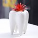 thumbnail image 5 of Advancent Maceta de cerámica para plantas, contenedores para plantas, adornos de delicados, decoración de macetas, macetas para decoración de Jardín y Patio, 5 of 6
