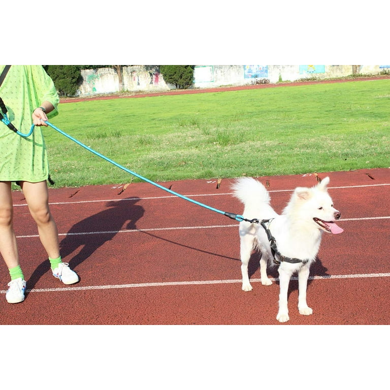 5 FT Strong Dog Leash with Comfortable Padded Handle and Highly Reflective Threads Dog Leashes for Small Medium and Large Dogs Small 5FT BLUE