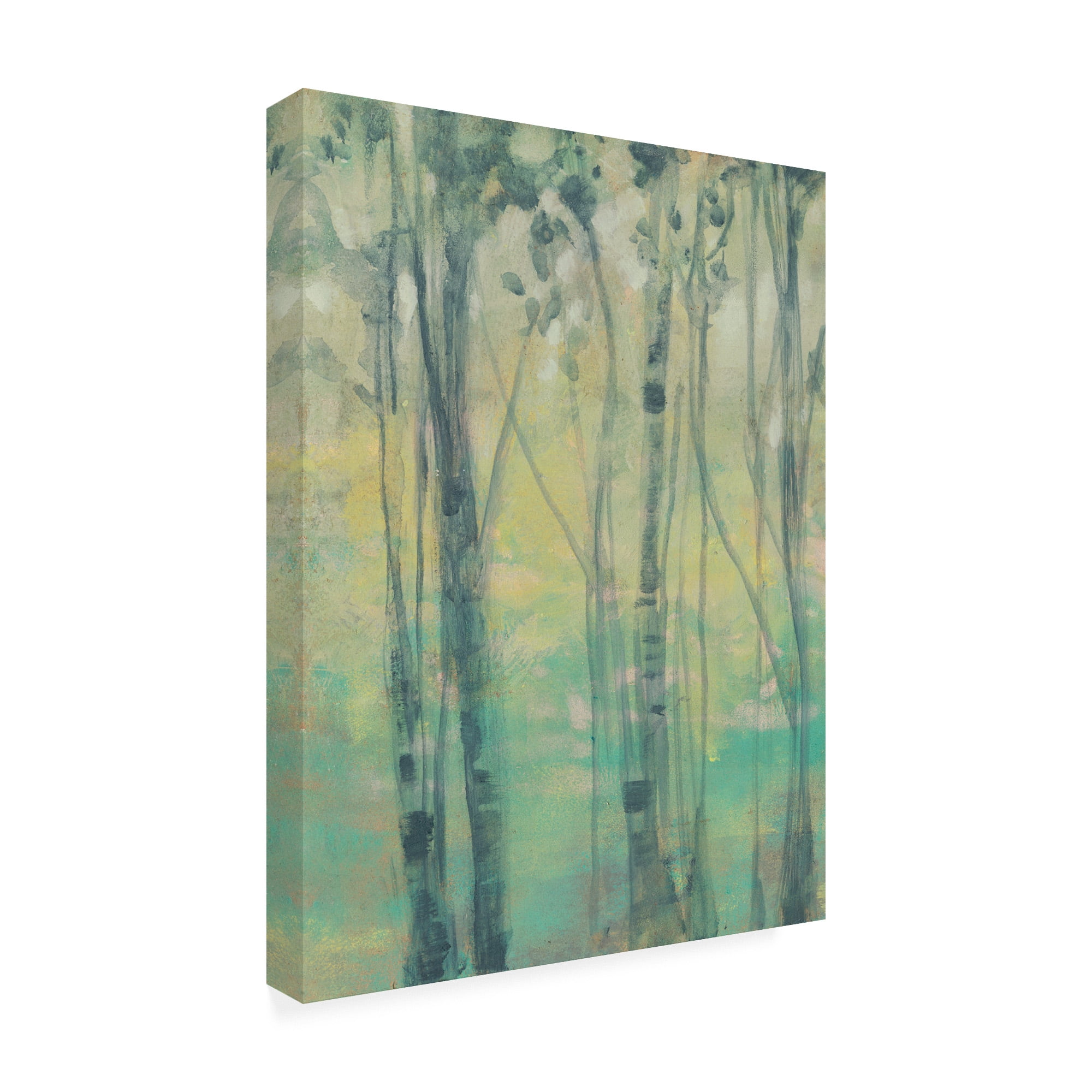 Trademark Fine Art 'The Light in the Trees I' Canvas Art by Jennifer Goldberger