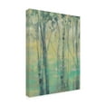 thumbnail image 2 of Trademark Fine Art 'The Light in the Trees I' Canvas Art by Jennifer Goldberger, 2 of 4
