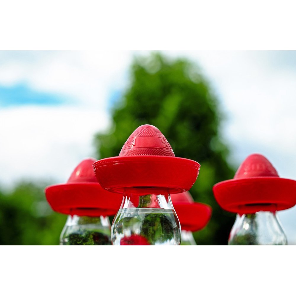 Tequila Bottle Sombrero Mexican Hat Headwear Red20 Inch By 30 Inch