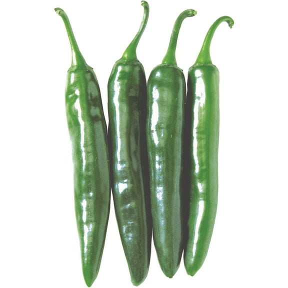 Kitazawa Seed Company Green Pepper Plant Seeds, GMO Free