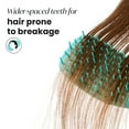 thumbnail image 3 of The Essential Detangler® by Tangle Teezer® for Extra Gentle Hair, Turquoise Green, 3 of 6