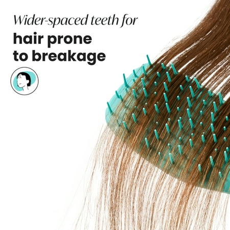 The Essential Detangler® by Tangle Teezer® for Extra Gentle Hair, Turquoise Green