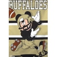 thumbnail image 2 of Colorado Banner Mickey Mouse Buffaloes Football House Flag, 2 of 3