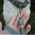thumbnail image 2 of WAUDOG Classic Design Leather Dog Leash for Puppy Small Medium and Large Dogs - Boy & Girl Leather Dog Collar | Special Design Leather Leash for Training & Walking Cute Small Medium Large Dog - Purple, 2 of 25
