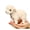 White, variant on Realistic Dog Plush Toy -11.8 '' Lifelike Soft Stuffed Dog Doll Pet Companion Home Decor Gift