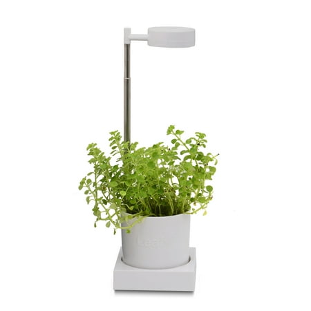 Leafy Desktop Hydroponics & Grow Light System (Best Seed Starter Grow Lights)