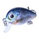thumbnail image 4 of Advancent Juego de Señuelos de Pesca Duros, 10 Piezas, Insectos Surtidos, Kit de Señuelos de Pesca para lubina, Crankbait Duro para Agua Dulce Pescar, 4 of 6