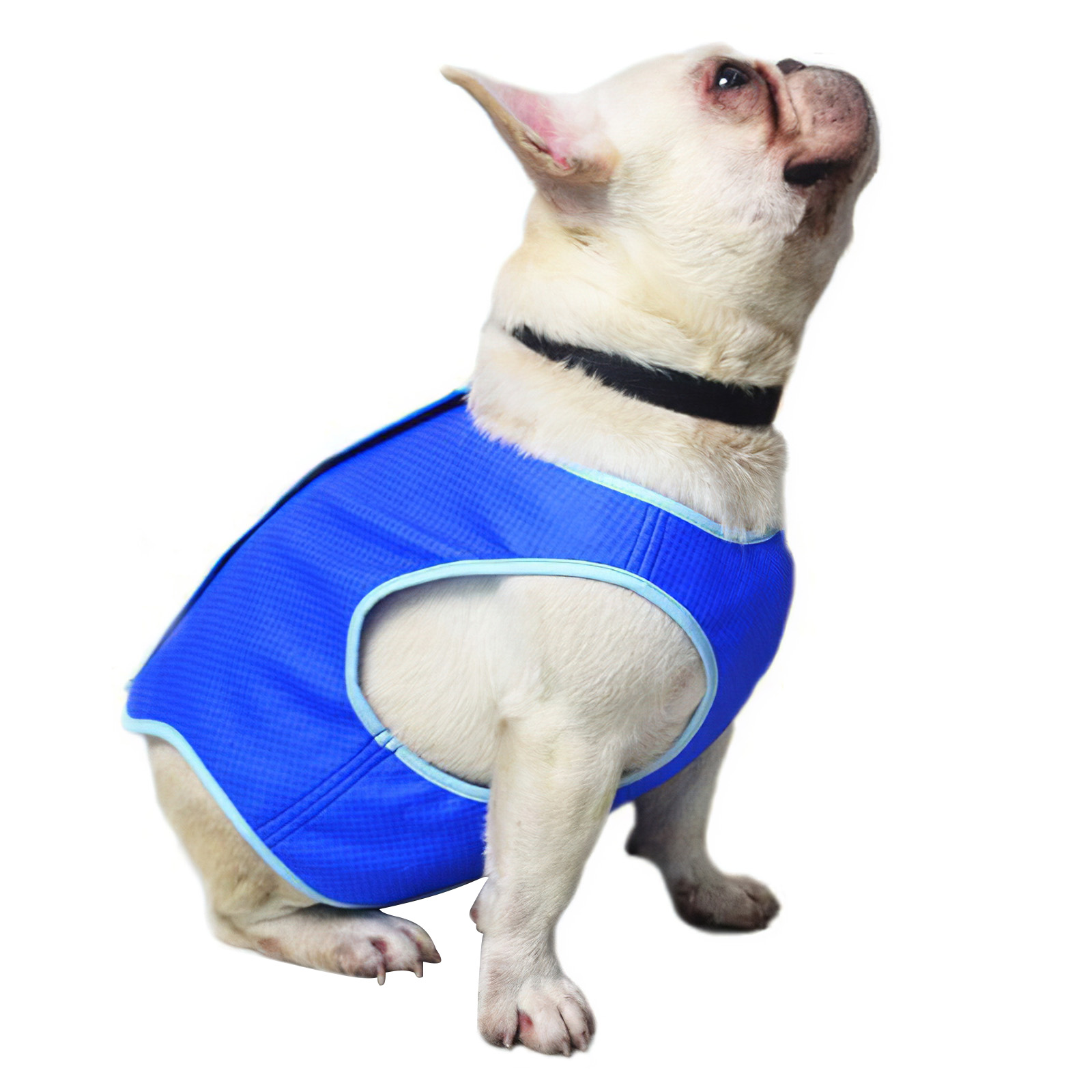 dog cooling jacket