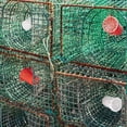 thumbnail image 6 of 20 Pcs Fishing Bait Cage Trap Fish Lure Feeder Basket Plastic Bucket for Crawfish Shrimp Earthworm Crab Carp, 6 of 6