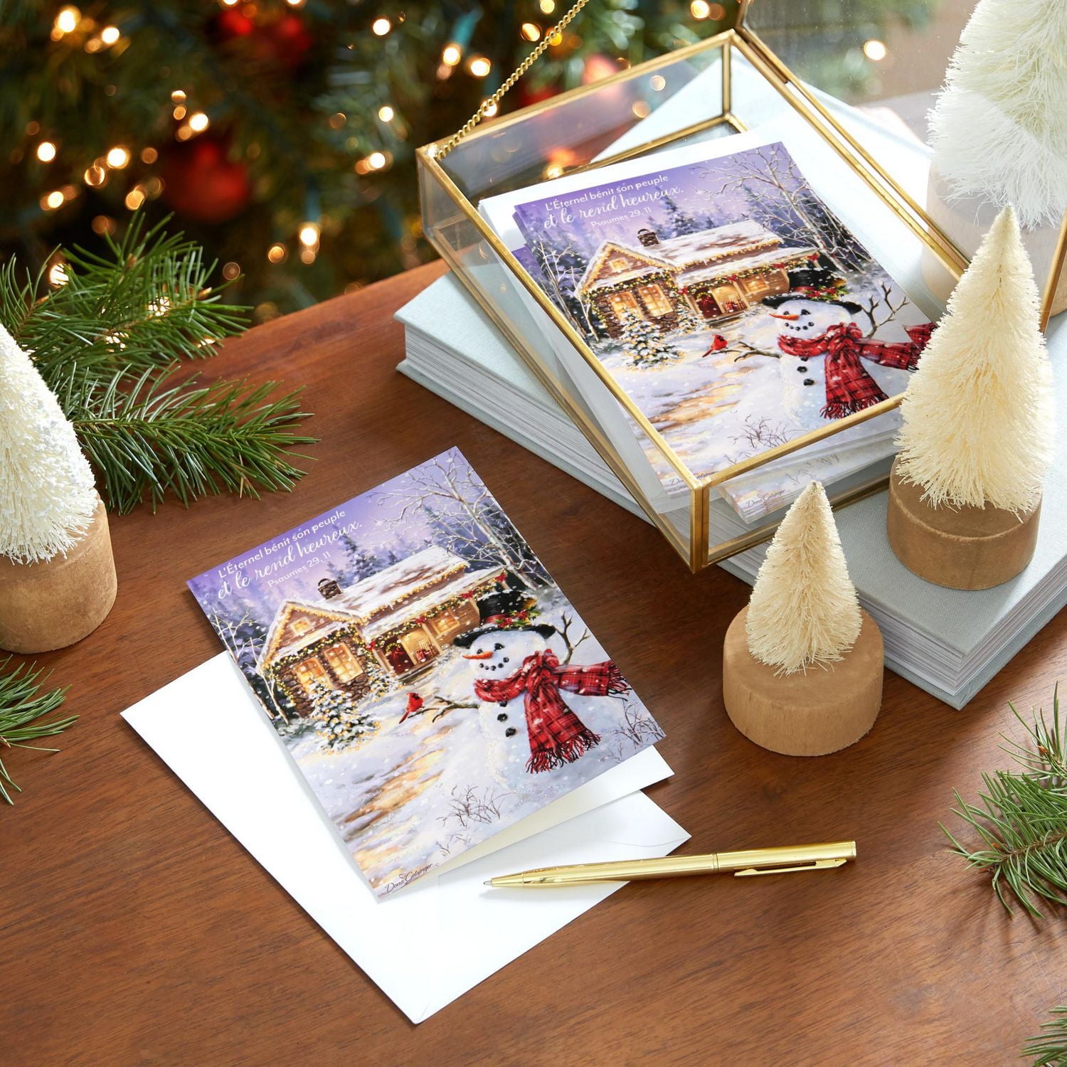 DaySpring  French-Language Religious Boxed Christmas Cards, Peaceful Snowman and House (Pack of 16 Cards with Envelopes)
